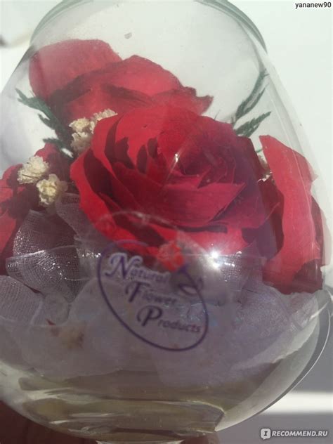 Живые цветы в вакууме Natural Flower Products (NFP) Композиция розы в ...