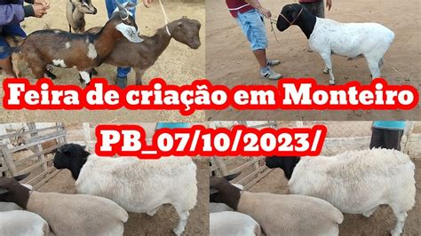 Feira De Caprinos E Ovinos Em Monteiro PB 06 10 2023 YouTube