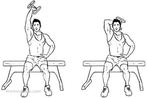 Seated Single Arm Overhead Dumbbell Tricep Extensions Workoutlabs