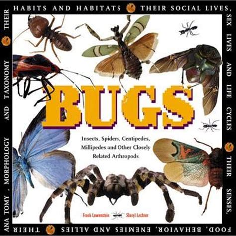 Pre-Owned Bugs: Insects, Spiders, Centipedes, Millipedes, and Other