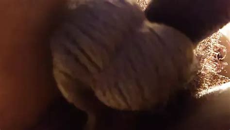 Ass Worship Hallelujah Johnson Smell The Aroma XHamster