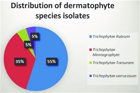 Distribution Of Dermatophyte Species Culture Isolates Download Scientific Diagram