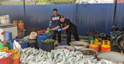 Polis Serbu Lokasi Proses Ketum Dua Lelaki Ditahan Berita Harian