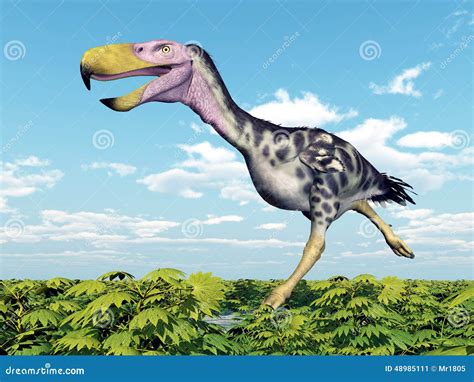 Terror Bird Kelenken Stock Illustration Illustration Of Science