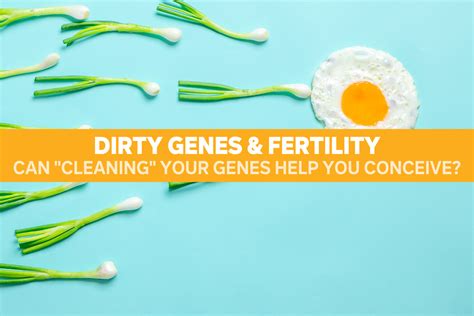 Dirty Genes Fertility Can Cleaning Your Genes Help You Conceive