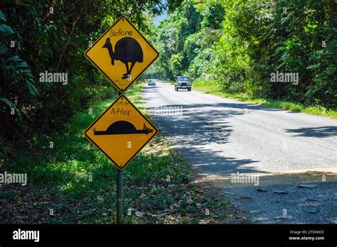 Humorously Altered Road Signs Warning Of Cassowaries And A Speed Bump Near Madja In The