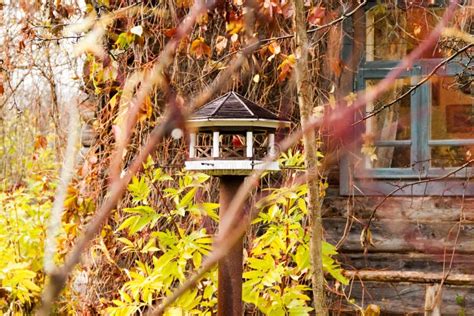 Wooden Homemade Small Log Bird Feeder House with Large Windows for ...