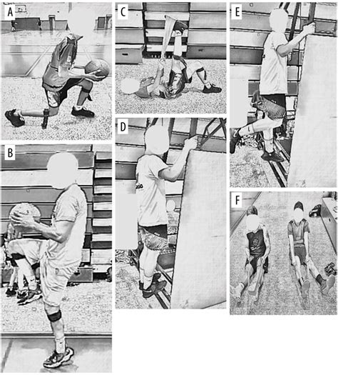 Comparison of Adaptations in the Gastrocnemius Muscle from an Exercise ...