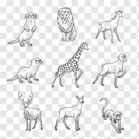 animal  art outline  animals wildlife drawing animal  art
