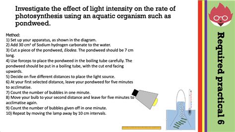 AQA GCSE Biology- Photosynthesis | Teaching Resources 