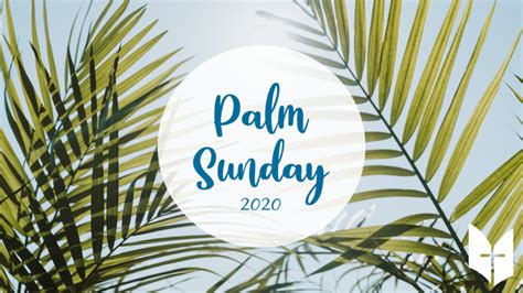 The Significance Of Palm Sunday Open Bible Church