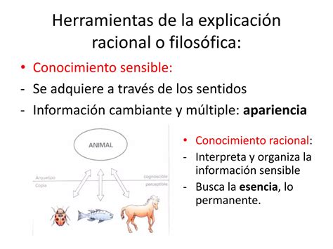 El Saber Filosofico A Traves De La Historia Ppt