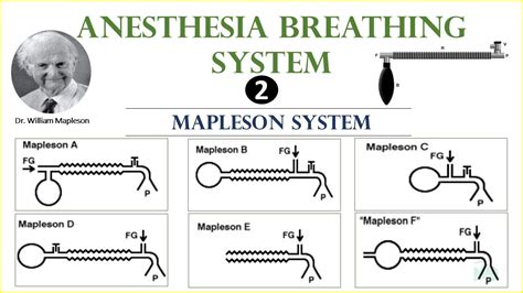 Mapleson Breathing System Anesthesia Breathing System Reservoir Bag