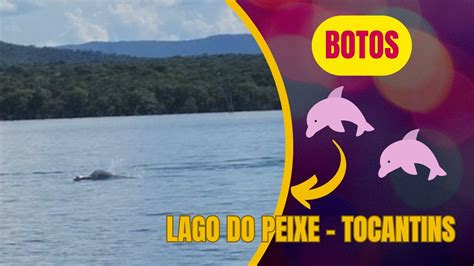 Dança dos botos no Lago do Peixe Angical Tocantins YouTube