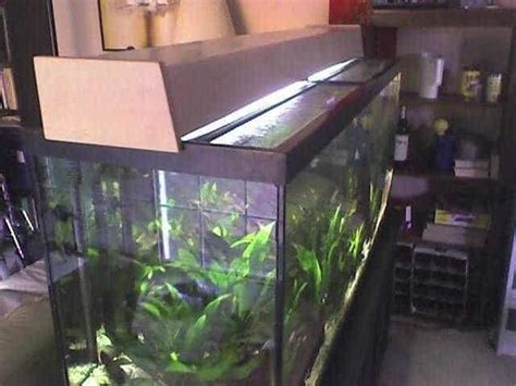 7 Fun DIY Aquarium Lid Projects For Your Home