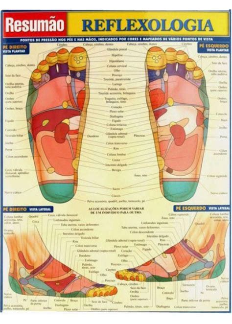 Mapa Reflexologia Podal Ubicaciondepersonas Cdmx Gob Mx