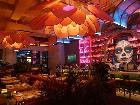 Meximodo Officially Opens Mexican Restaurant, Tequila Bar In Metuchen ...