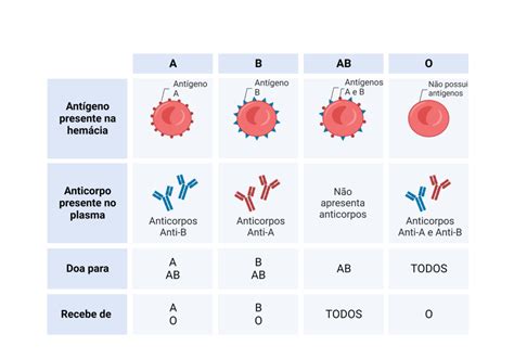 O Que É Tipo Sanguineo - Quais são os tipos sanguíneos? - Cursau Educação - Blog