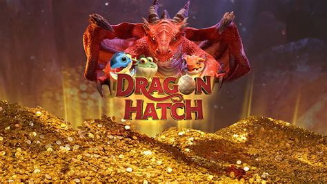 Dragon Hatch Quanto Tempo Demora Para Cair Na Conta