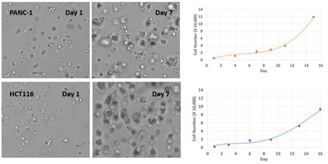 Vitrogel® Hydrogel Matrix 3d Cell Culture Thewell Bioscience