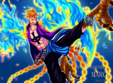 marco  piece  piece manga manga anime  piece