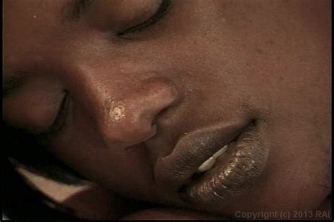 Black Pussy Hunt Vol 5 2009 Adult Empire