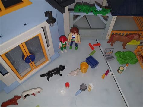 Playmobil Tierarztpraxis Clinique V T Rinaire Im Kanton Bern