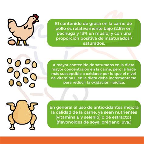 NutriciÓn Del Pollo Y Gallina De Postura