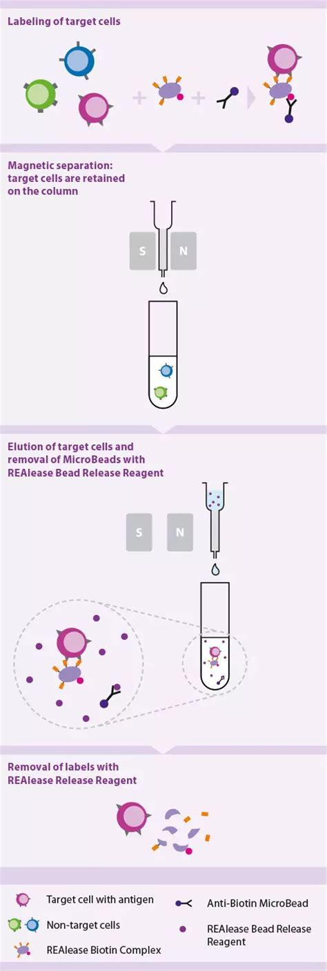 Realease Cd Microbead Kit Human Miltenyi Biotec Nederland