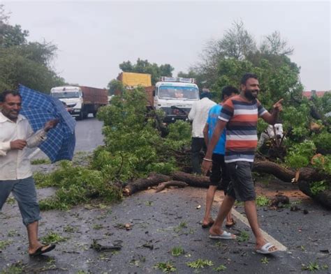 25 तस्वीरों में Cyclone Biparjoy का तांडव 12 हजार से ज्यादा बिजली के खंभे गिरे कई गांव में