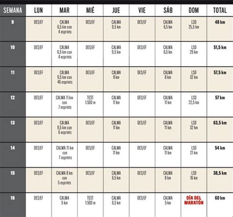 Entrenamiento Para Marat N Mayores De A Os Normalweb Es