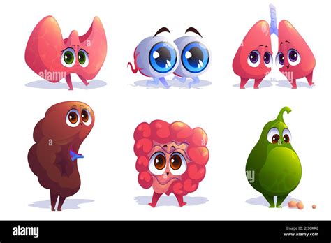 Cartoon Organs Characters Thyroid Eyes Lungs And Spleen With