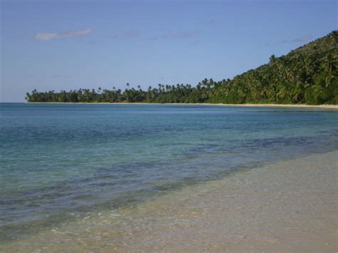 Kadavu Island Tourism (2024): All You Need to Know Before You Go