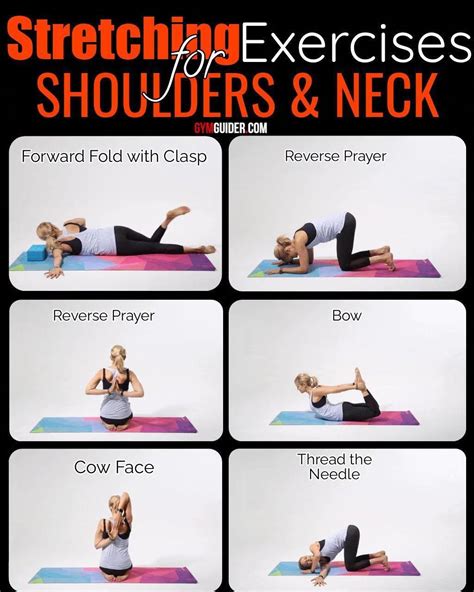 Lower back pain stretches – Artofit