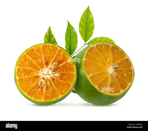 Calamansi Fruit Cut Out Stock Images And Pictures Alamy