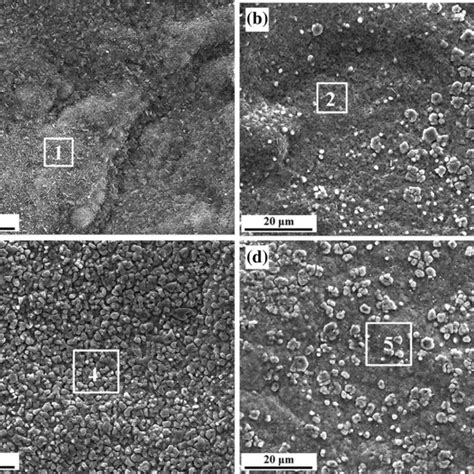 Surface Morphologies Of The Oxide Scale Formed On Nife Coated Bare