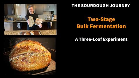 NEW Sourdough BREAKTHROUGH Two Stage Bulk Fermentation For Busy