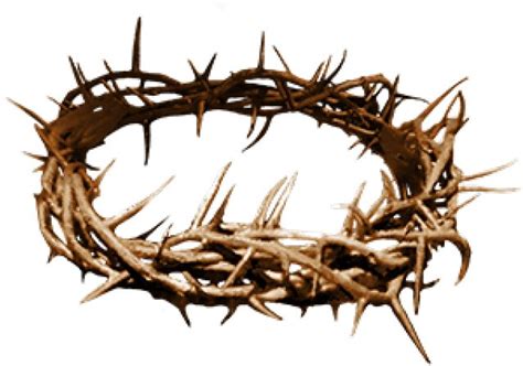 Find Hd Free Thorns Clipart Crown Thorns Jesus Thorn Crown Png