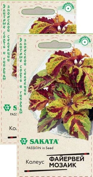 Колеусы Гавриш Колеус Файервей Мозаик (4 шт), 2 пакета - купить по ...