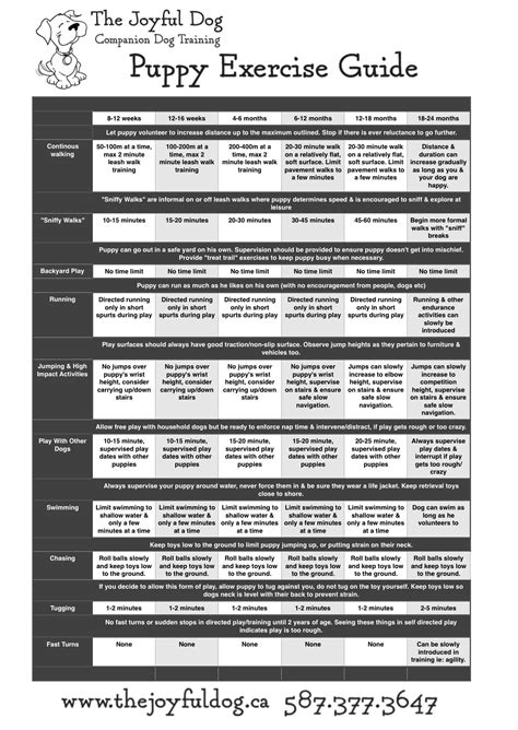 New Puppy Checklist, Puppy Training Schedule, Puppy Training Guide