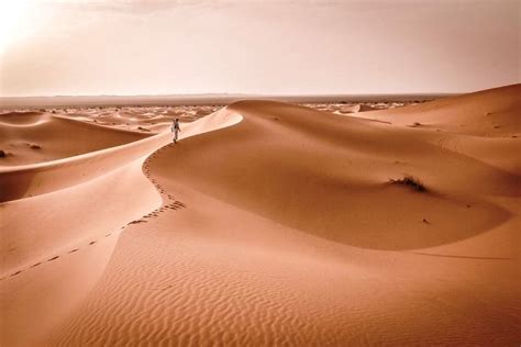 interesting facts   sahara desert ohfact