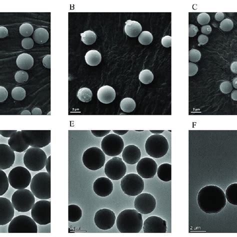 Sem Micrographs Of Bare Active Silica Gel A Sio2nh2cooh B And