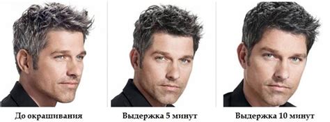 Камуфляж седины: обзор мужской краски для седых волос