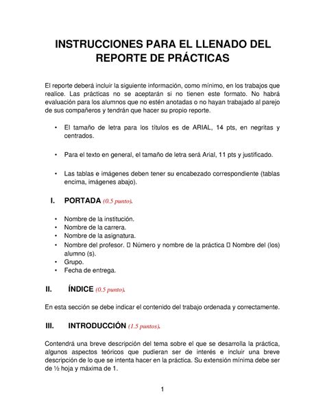 1 Formato Para Reporte Instrucciones De Llenado 1 INSTRUCCIONES