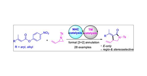 Synergistic N Heterocyclic Carbene Palladium Catalyzed 3 2