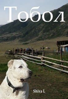 Тобол, Shiva L. - читать книгу онлайн полностью, бесплатно на Литнет