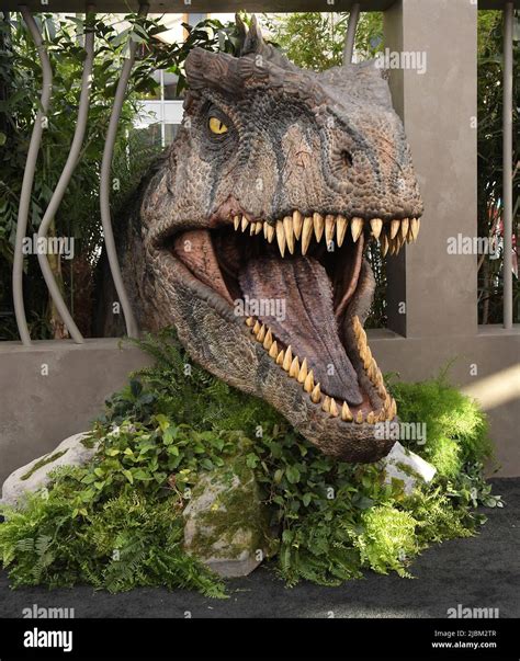 Giganotosaurus jurassic world hi-res stock photography and images - Alamy