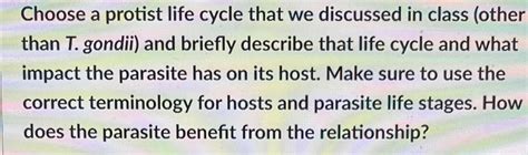 Solved Briefly describe the life cycle of plasmodium berghei | Chegg.com 