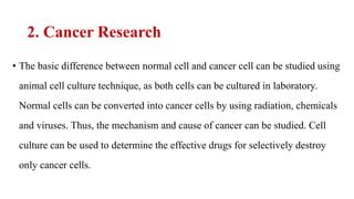 Applications of cell culture. PHARMACEUTICAL MICROBIOLOGY (BP303T)Unit-VPart-5 | PPT