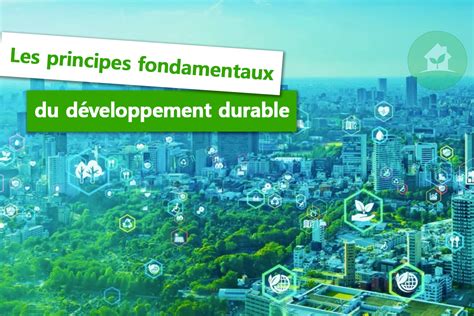 Les Fondamentaux Du Développement Durable En 2023 Pari Durable